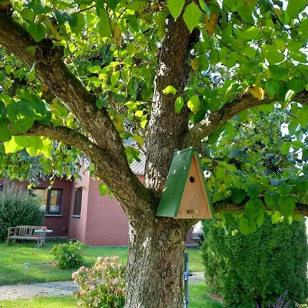 Ferienhaus Kleine, Gemütliche *