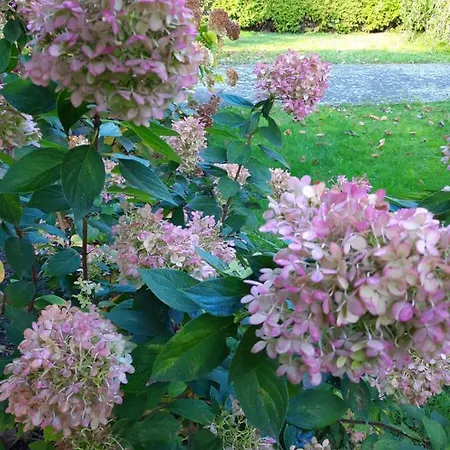 Kleine, Gemütliche * Ludorf