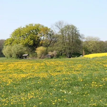 Kleine, Gemütliche *