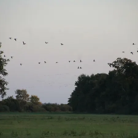 Kleine, Gemuetliche 度假居 *