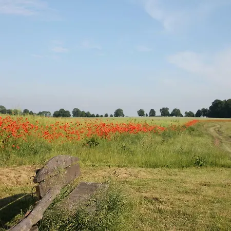 Kleine, Gemütliche *